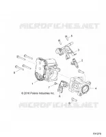 CUERPO DE MARIPOSA AND FUEL RAIL