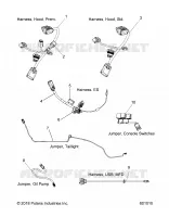 ELECTRICAL, JUMPERS/MAZO DE CABLES