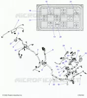 ELECTRICA, WIRE HARNESS