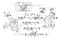 FRENO Y CHAINCASE (LTR) (4910931093013A)