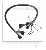 MAZO DE CABLES, GOBIERNO COLUMN
