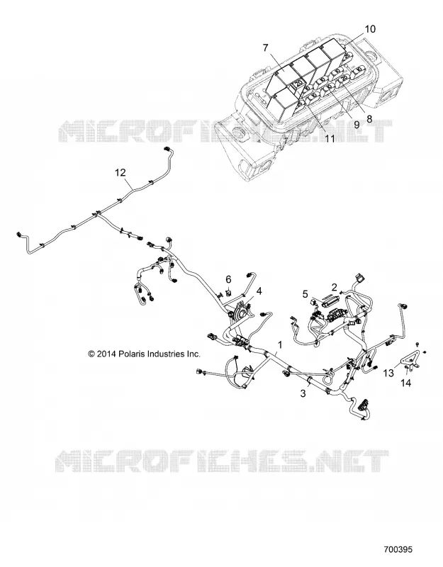 ELECTRICA, HARNESS