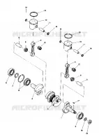 PISTON AND CIGUEÑAL (4910961096017A)