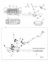 ELECTRICA, HARNESS