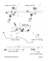 ELECTRICA, JUMPERS/WIRE HARNESS