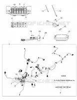ELECTRICA, HARNESS