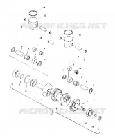 PISTON AND CIGUEÑAL (4909520952018A)