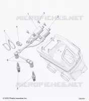 ELECTRICA, IGNITION COIL/SPARK PLUGS