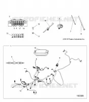 ELECTRICA, HARNESS