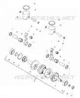 PISTON AND CIGUEÑAL (SS) (4909540954023A)
