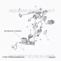 ELECTRICA, WIRE HARNESS, MAIN