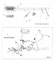 ELECTRICA, HARNESS