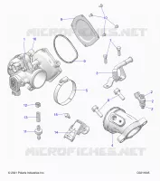 ENGINE, CUERPO DE MARIPOSA AND FUEL RAIL