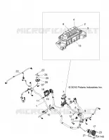 ELECTRICA, WIRE HARNESS