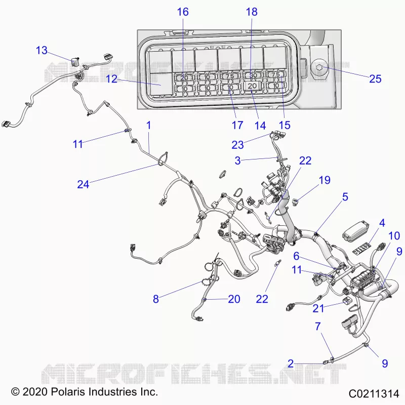 ELECTRICA, HARNESS