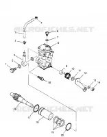 Bomba de aceite 2X4 300 W957530 (4930053005C014)