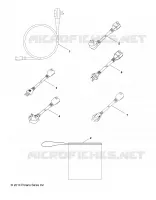ELECTRICA, CHARGE CORDS