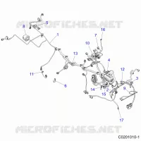 ELECTRICA, HARNESS