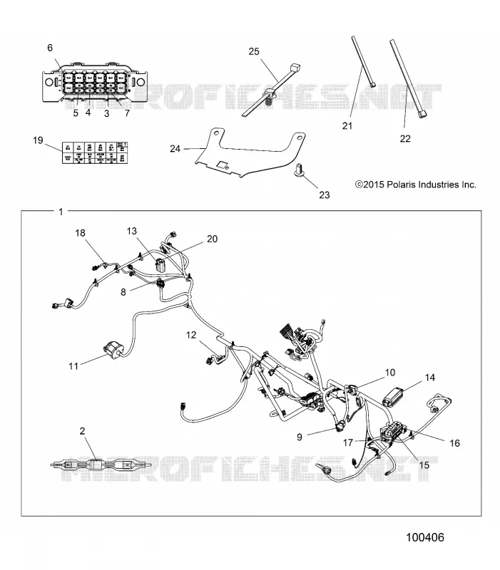 ELECTRICA, HARNESS
