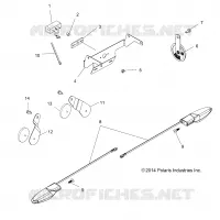 ELECTRICA, TURN SIGNALS AND HORN