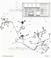ELECTRICA, WIRE HARNESS