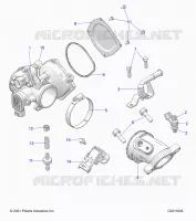 ENGINE, CUERPO DE MARIPOSA AND FUEL RAIL