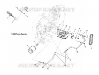 TRASERO ARM PAR