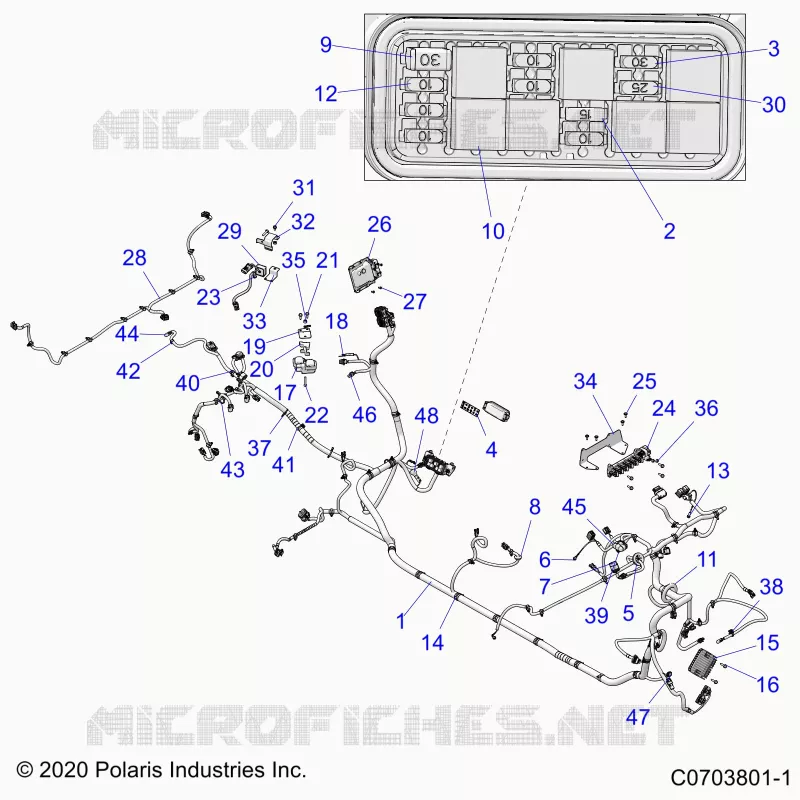 ELECTRICA, WIRE HARNESS