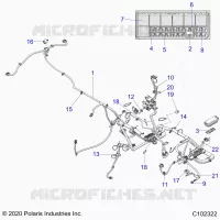 ELECTRICA, HARNESS