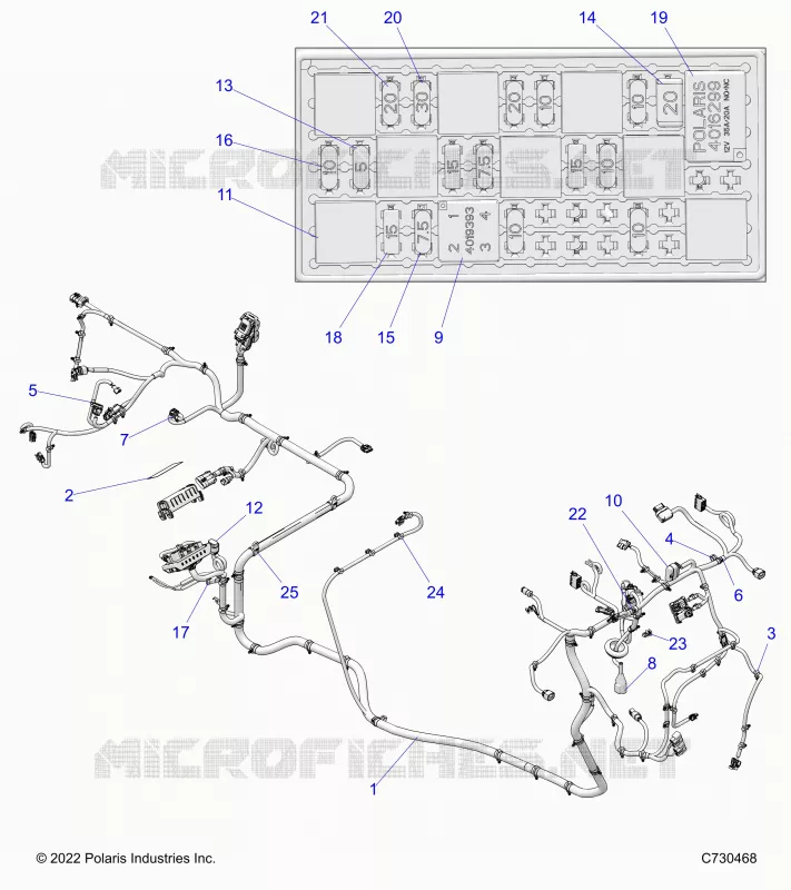 ELECTRICA, WIRE HARNESS