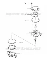 GASOLINA PUMP (600 AND 600 SE) (4909500950051A)