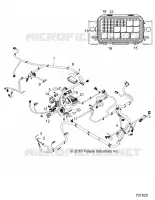 ELECTRICA, HARNESS