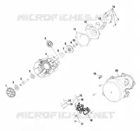 BOMBA DE AGUA / BOMBA DE ACEITE