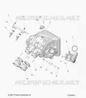 ENGINE, INTAKE MANIFOLD, CUERPO DE MARIPOSA, FUEL RAIL- Z24NMF99AR/AM/BR/BM (C702910)