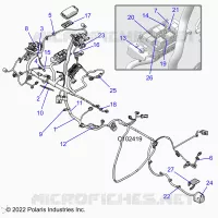 ELECTRICA, HARNESS