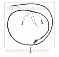 MAZO DE CABLES, LUZ DE LA COLA