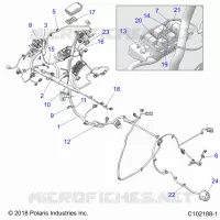 ELECTRICA, HARNESS