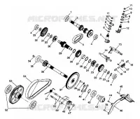 CAJA DE ENGRANAJES (Internal Components)