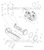 CUERPO DE MARIPOSA