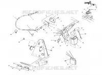 ELECTRICA/LUZ DE LA COLA