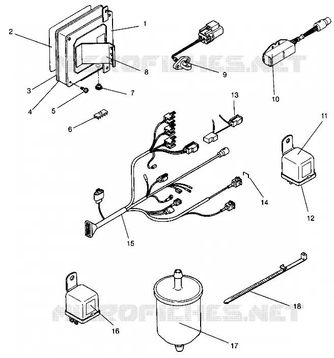 RECAMBIOS EFI RXL 0940768 AND RXL TOURING 0940869 (4925062506049A)