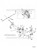 ELECTRICA, HARNESS
