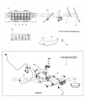 ELECTRICA, HARNESS