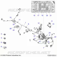 ELECTRICA, HARNESS