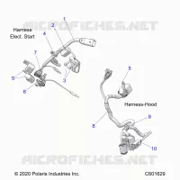 ELECTRICA, WIRE HARNESS, HOOD, ELEC. START