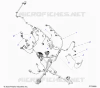 ELECTRICA, WIRE HARNESS, ENGINE