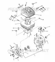 CAJA DEL CIGÜEÑAL AND CILINDRO 250 4X4 / W928127 (4922872287C013)