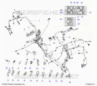ELECTRICA, HARNESS-CHASSIS