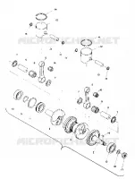 PISTON AND CIGUEÑAL (TRAIL) (4909500950033A)