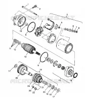 MOTOR DE ARRANQUE